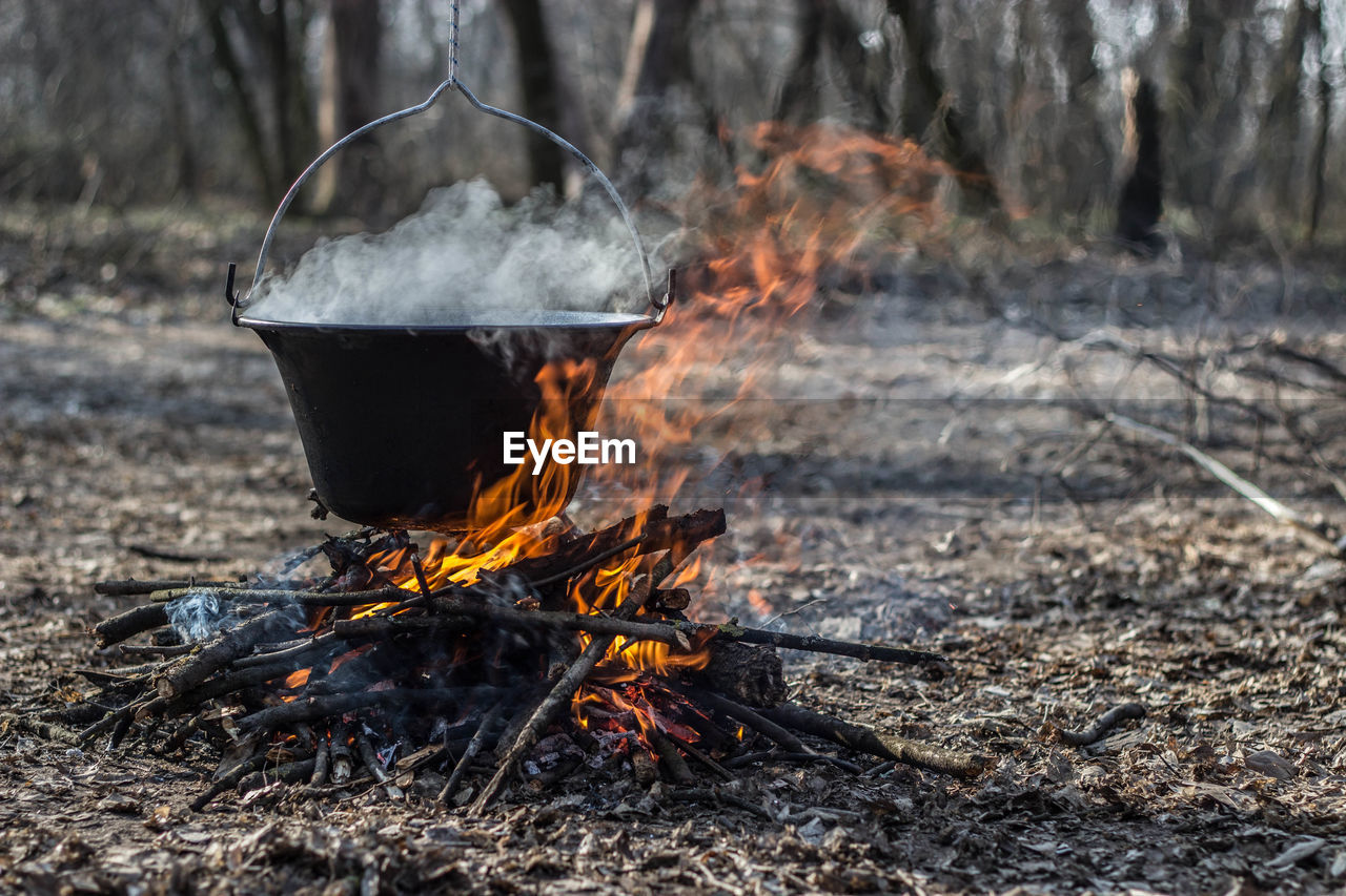 Cauldron on burning firewood in forest