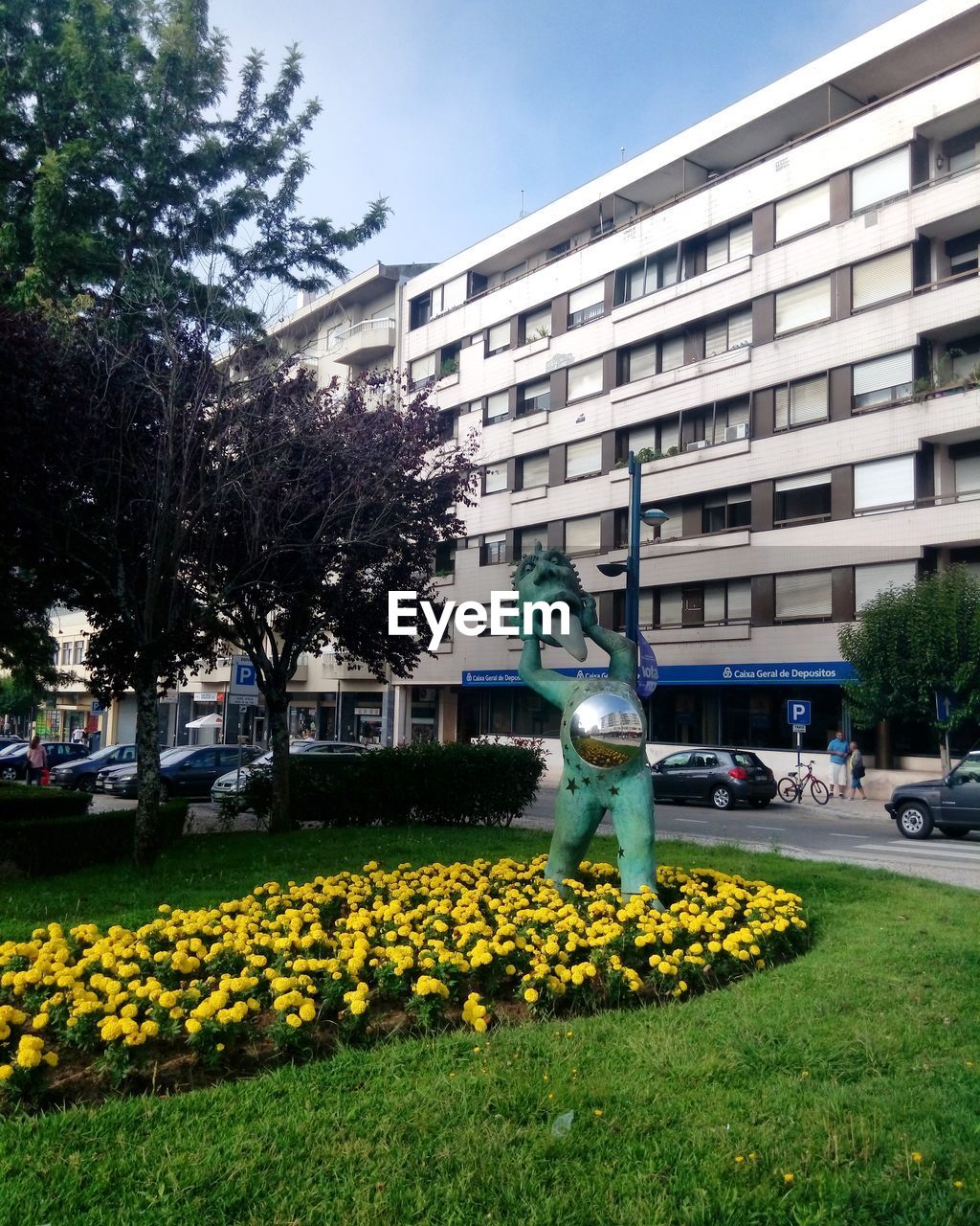 YELLOW FLOWERING PLANTS IN PARK AGAINST BUILDINGS