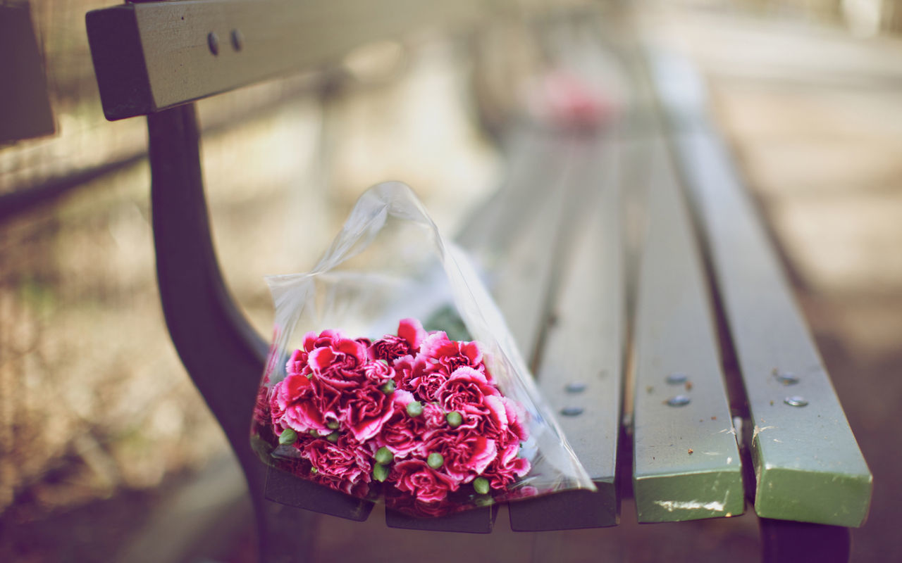 CLOSE-UP OF PINK FLOWERS