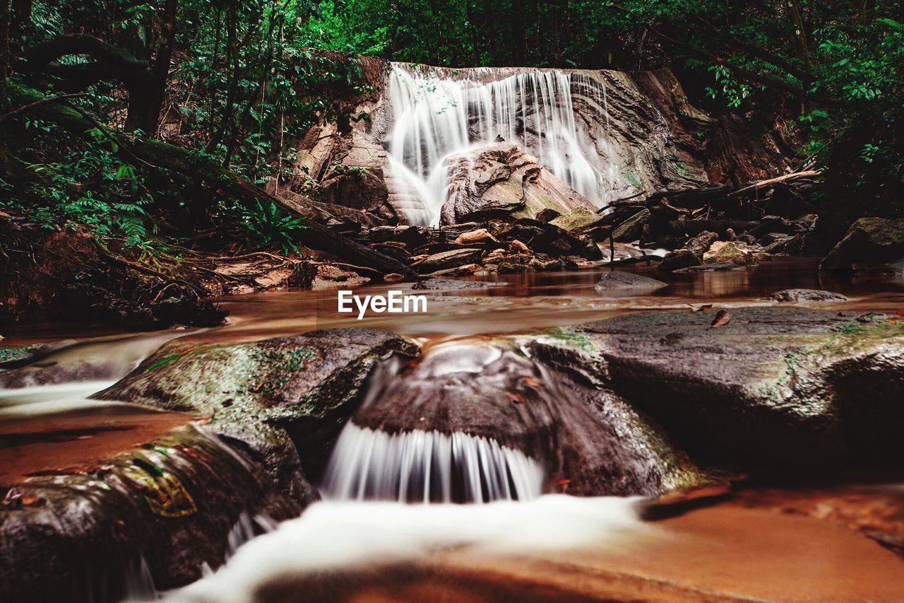 WATERFALL IN FOREST
