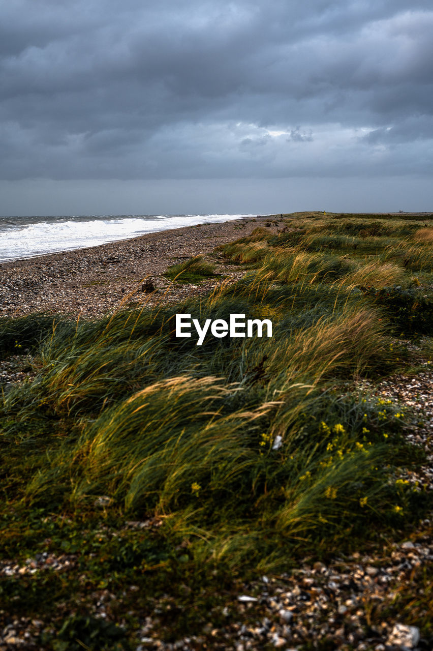 cloud, sky, nature, coast, environment, land, rock, sea, landscape, water, beauty in nature, plant, grass, horizon, scenics - nature, beach, shore, storm, dramatic sky, ocean, storm cloud, overcast, no people, hill, natural environment, tranquility, non-urban scene, coastline, outdoors, travel destinations, cliff, terrain, day, travel, cloudscape, tranquil scene, tourism, sunlight, atmospheric mood, horizon over water, morning, moody sky, reflection, seascape