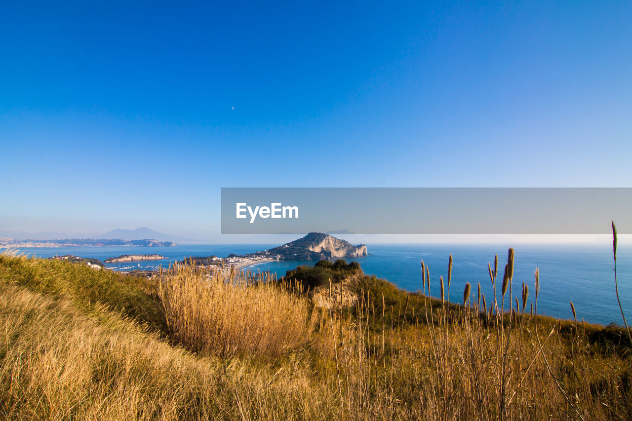 Scenic view of field against clear blue sky