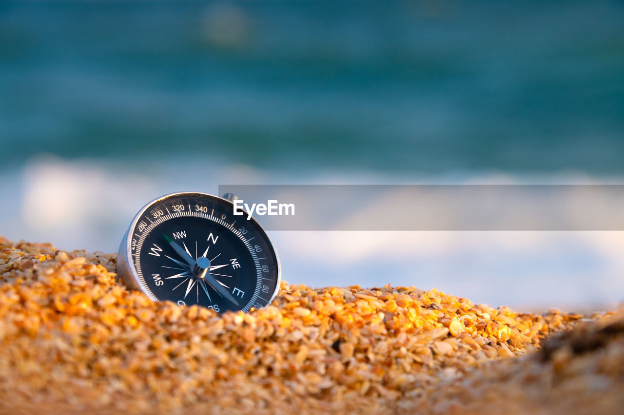 close-up, sea, water, sand, land, macro photography, nature, time, beach, clock, selective focus, sunlight, rock, no people, yellow, outdoors, leaf, morning, day, watch