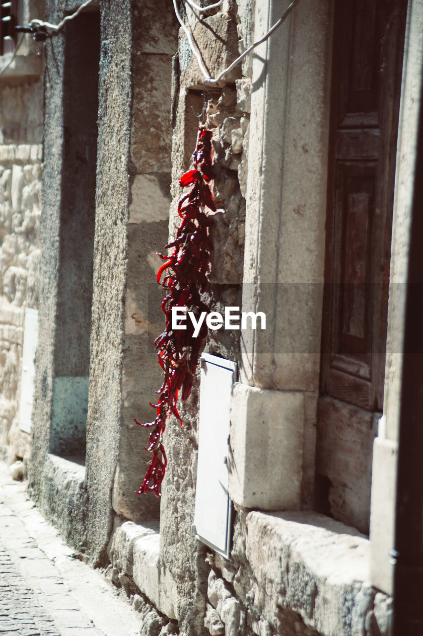 RED FLOWERS HANGING ON WALL