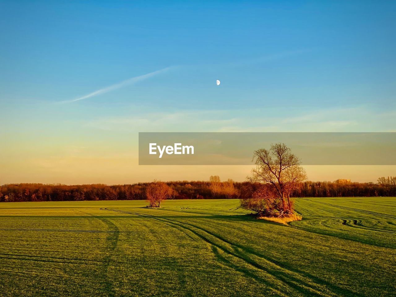 SCENIC VIEW OF FARM FIELD AGAINST SKY