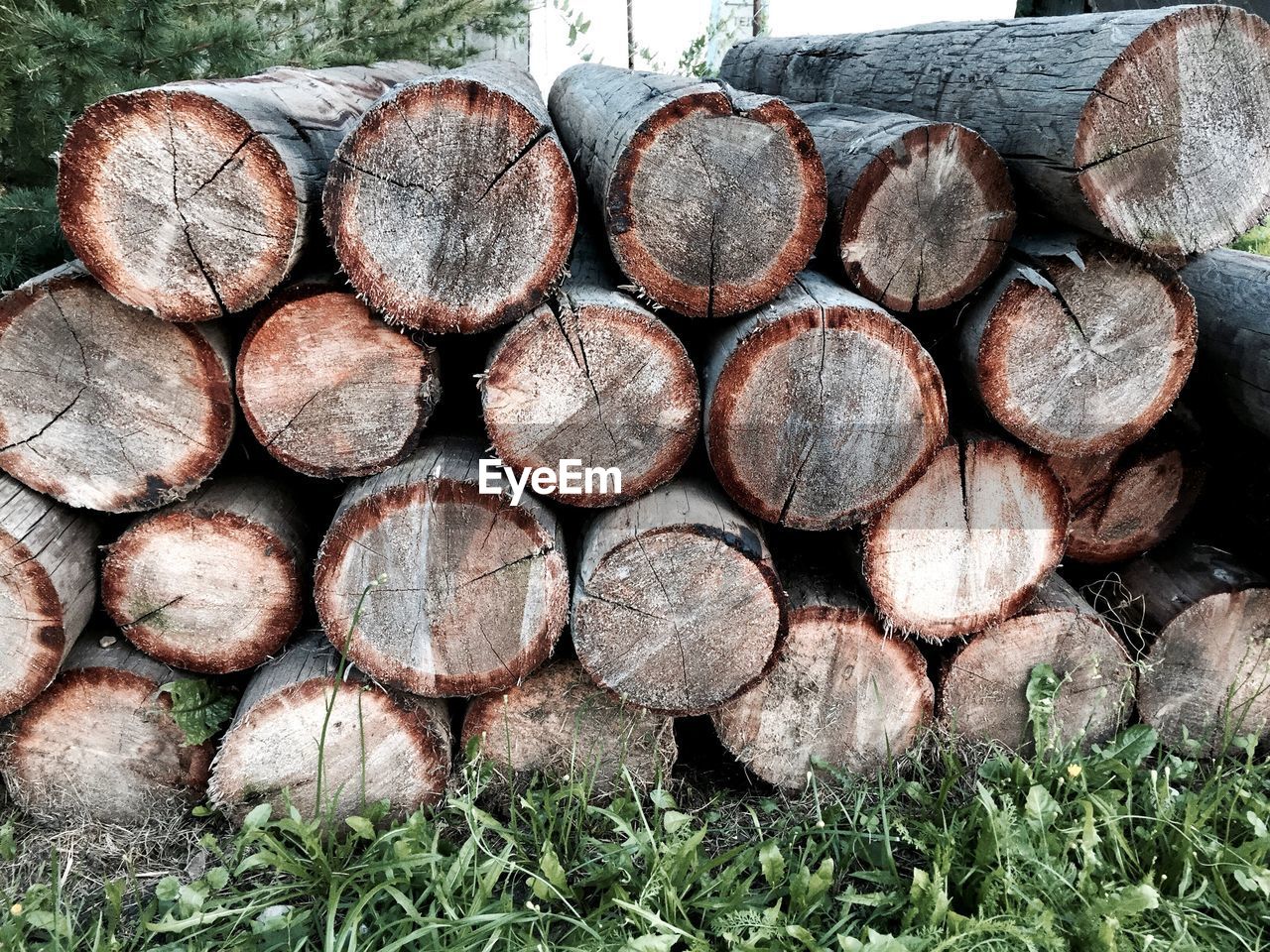 Stack of logs