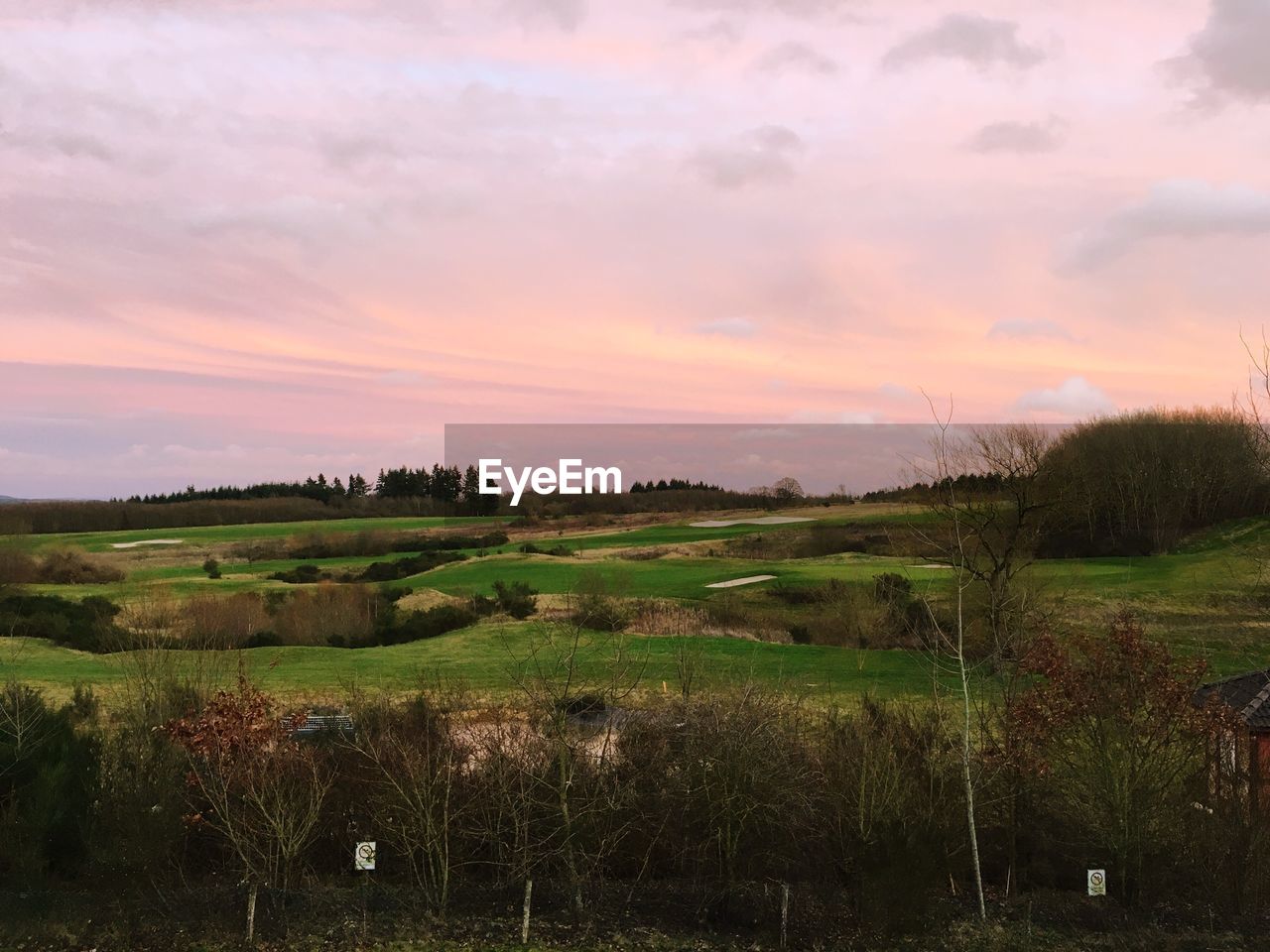 SCENIC VIEW OF VINEYARD AGAINST SKY