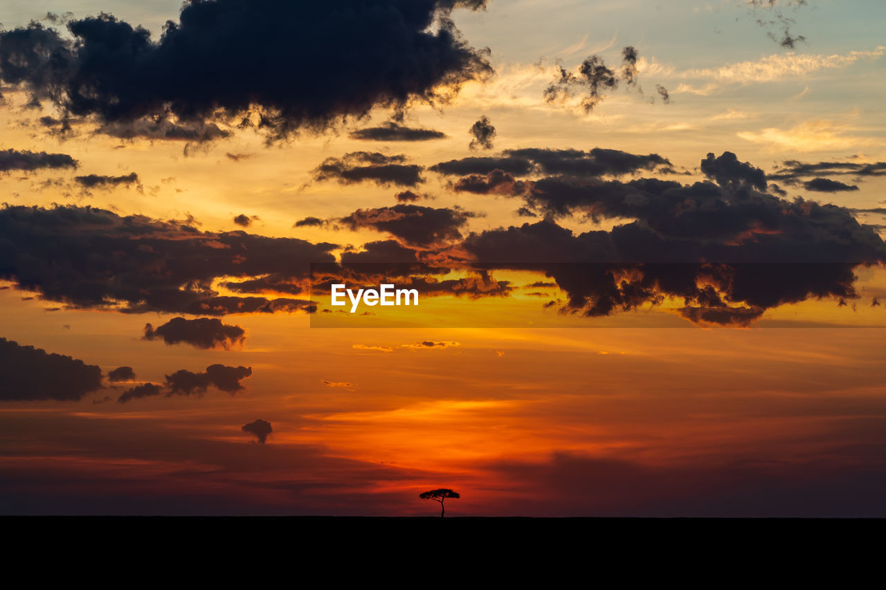 Scenic view of sunset sky and a tree