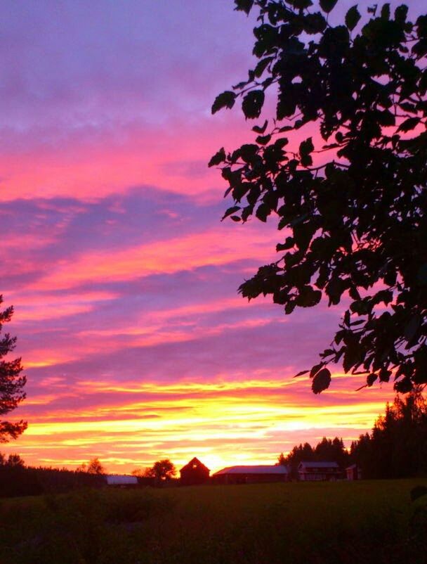 SCENIC VIEW OF LANDSCAPE AT SUNSET