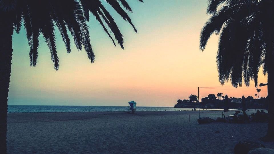 SILHOUETTE OF PALM TREES ON BEACH