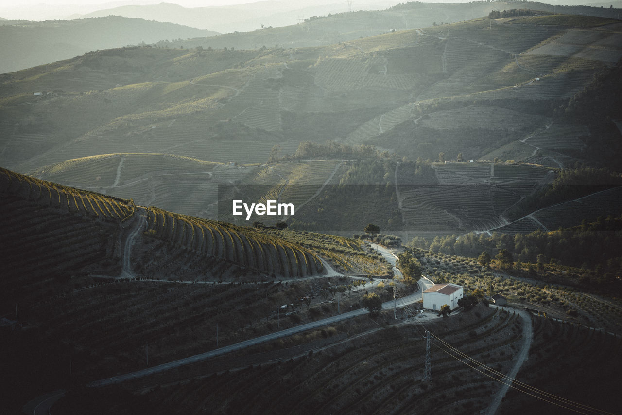 Douro vineyards from aerial view