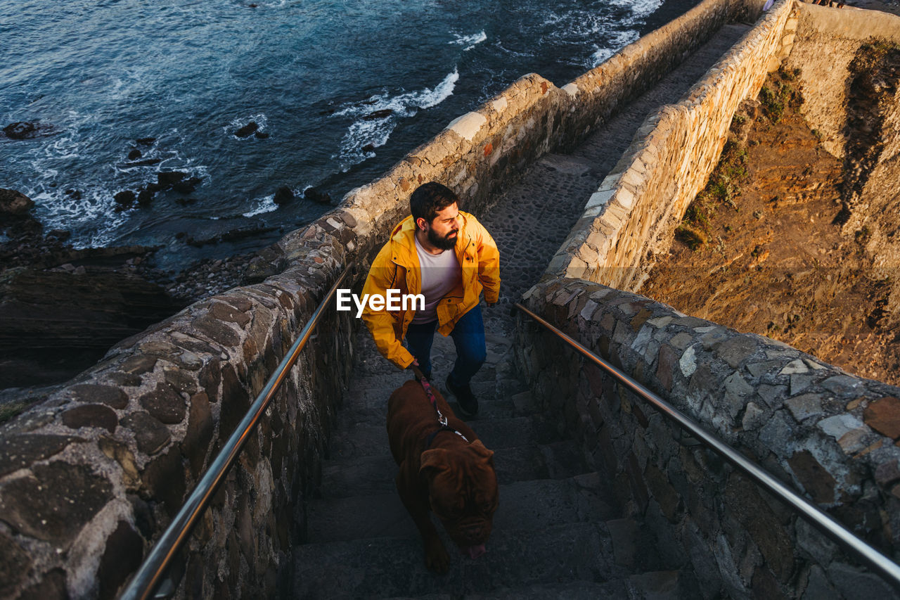 High angle of male in bright yellow jacket with big brown dog walking up stone stairs and looking away with interest against troubled bay water washing rocky coast in spain during sunrise