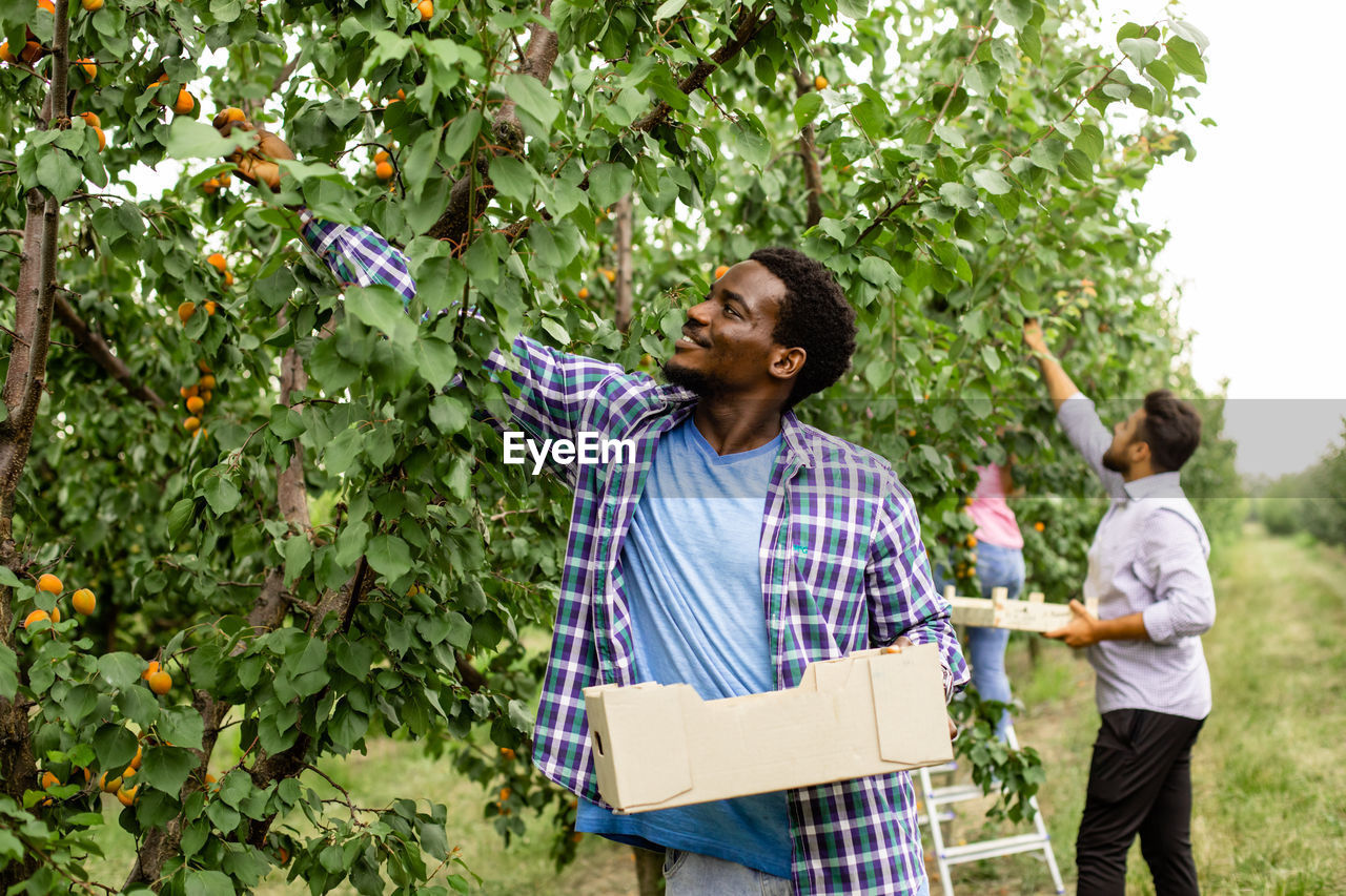 YOUNG COUPLE HOLDING FOOD ON PLANT