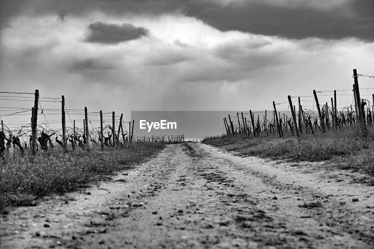 SCENIC VIEW OF ROAD AMIDST LAND AGAINST SKY