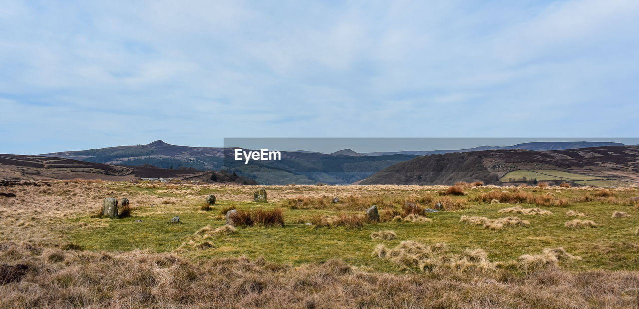 VIEW OF A FIELD