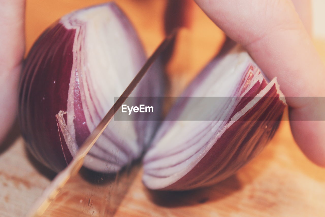 Close-up of hand cutting onion using knife