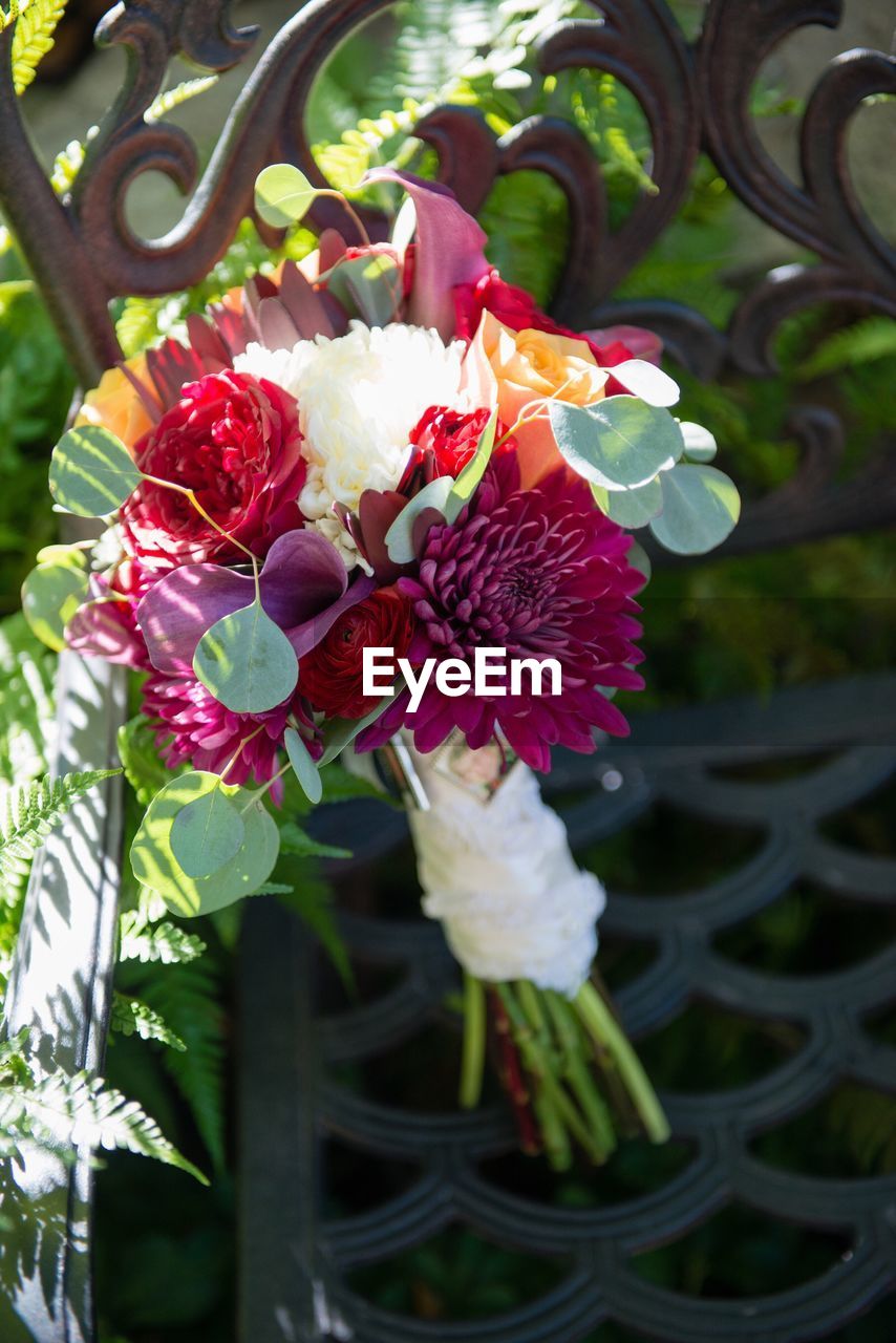 CLOSE-UP OF FLOWERS