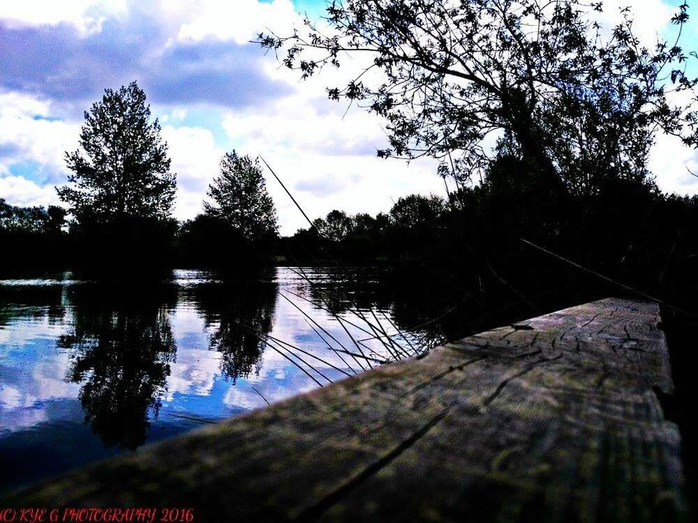 REFLECTION OF TREE IN LAKE AGAINST SKY