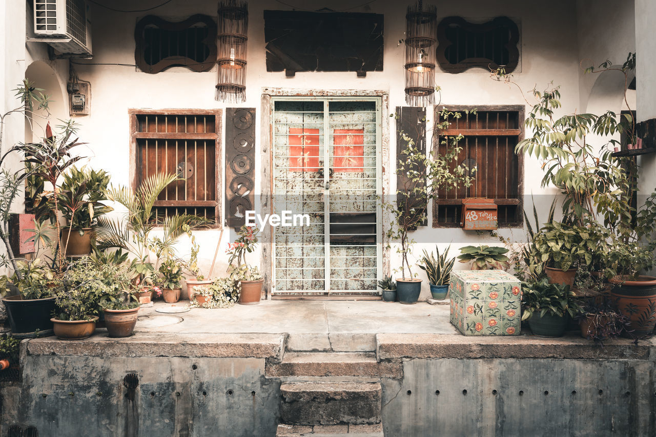 POTTED PLANTS OUTSIDE BUILDING