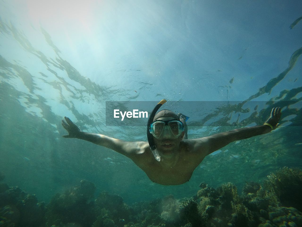 Young man scuba diving undersea