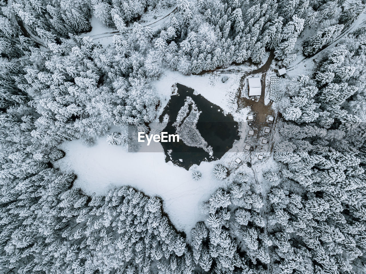 High angle view of snow covered trees