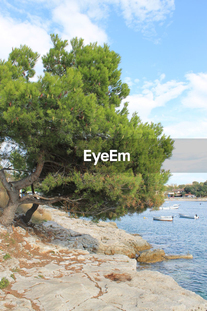 VIEW OF CALM BEACH AGAINST SKY