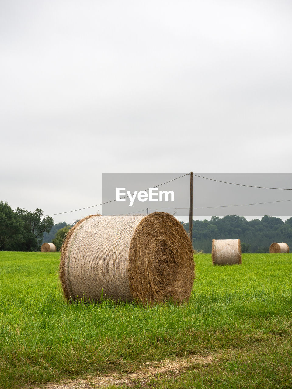 Straw rolls in the french countryside