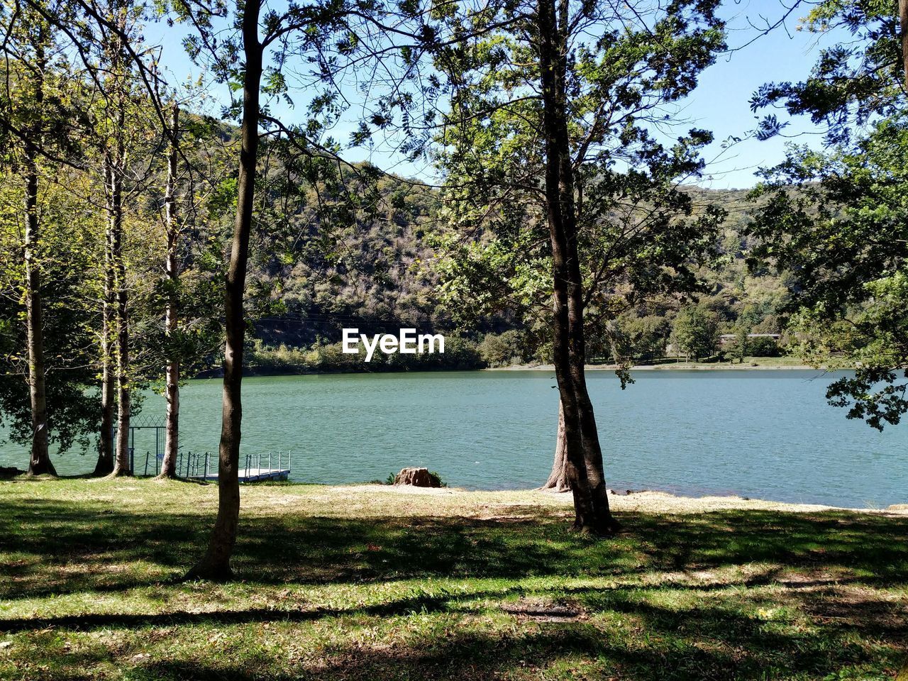 SCENIC VIEW OF LAKE