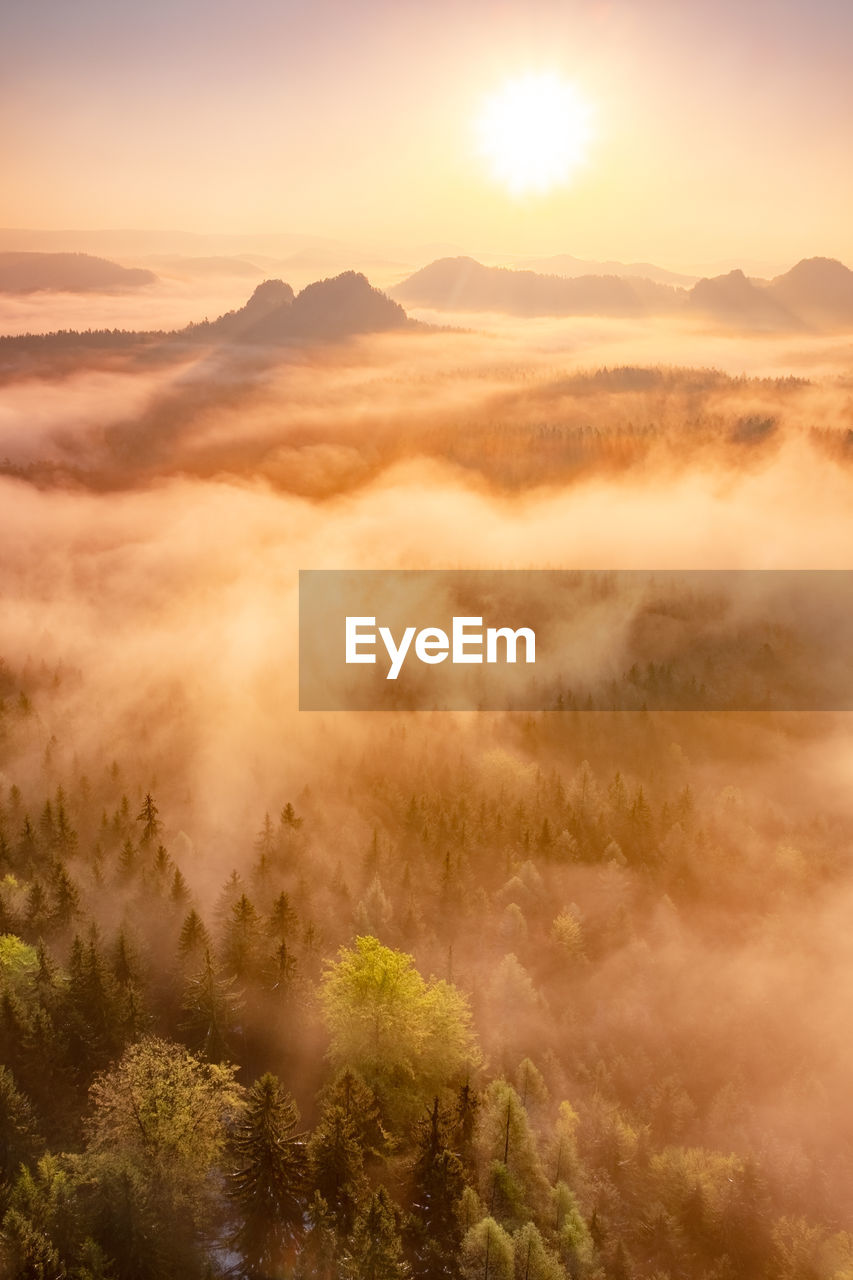 Misty morning in saxon switzerland national park. colorful spring sunrise. artistic post processed