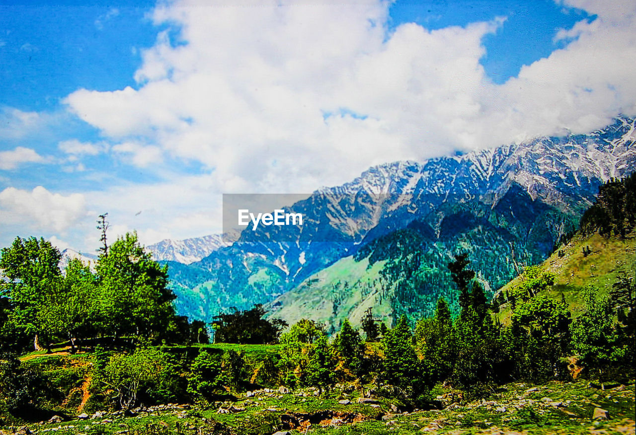 SCENIC VIEW OF MOUNTAIN AGAINST SKY