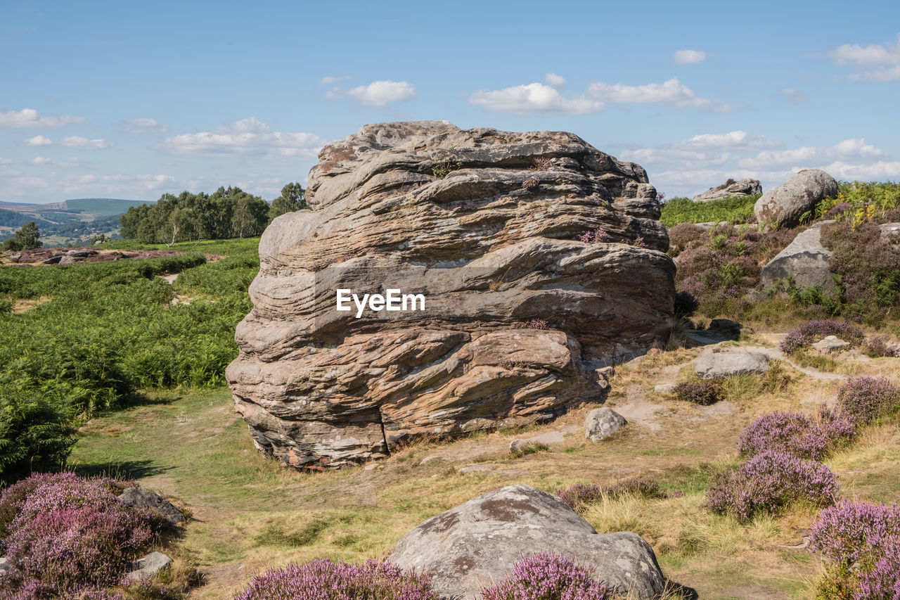 rock, sky, nature, plant, landscape, rock formation, scenics - nature, environment, beauty in nature, land, geology, mountain, cloud, travel destinations, wilderness, no people, cliff, travel, tranquility, non-urban scene, boulder, outdoors, day, terrain, plateau, tranquil scene, tree, formation, bedrock, outcrop, tourism, flower, grass, ridge, physical geography, eroded
