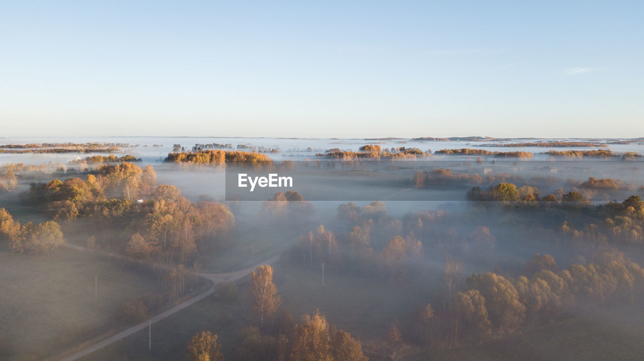 HIGH ANGLE VIEW OF TREES ON LAND AGAINST SKY