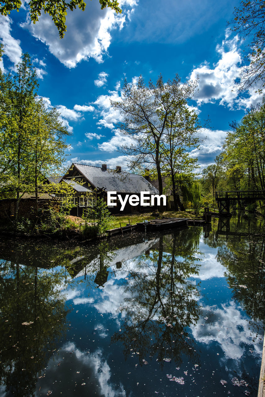 Scenic view of lake by trees against blue sky
