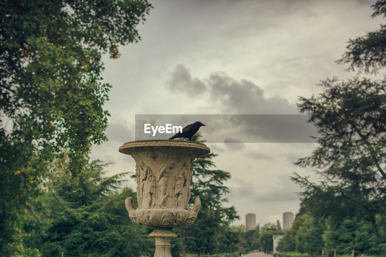 Low angle view of bird on fountain amidst trees in park