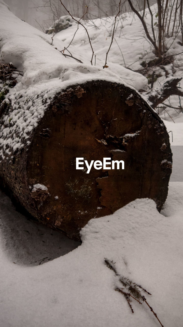 snow, winter, cold temperature, nature, tree, no people, plant, land, environment, frozen, day, outdoors, landscape, rock, tranquility, scenics - nature, water, beauty in nature