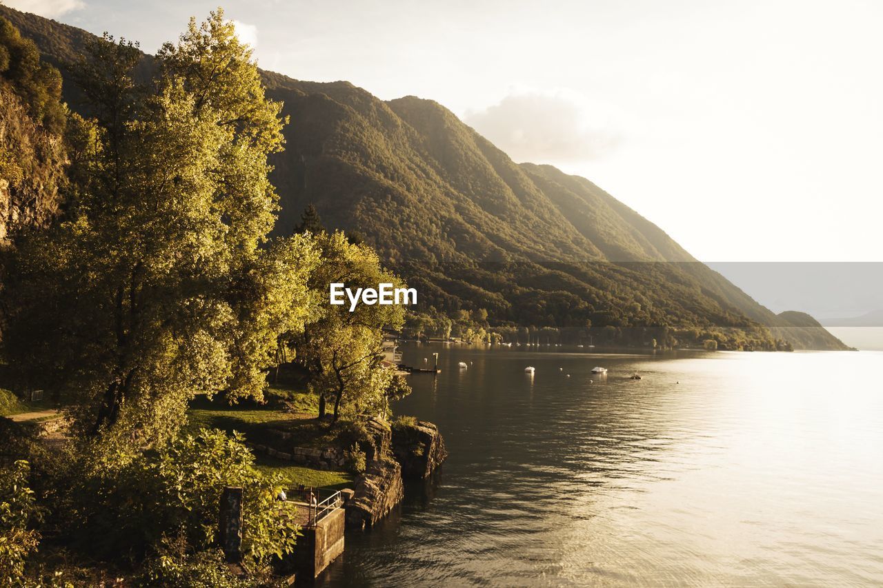 View of lake maggiore by trees and mountain against sky
