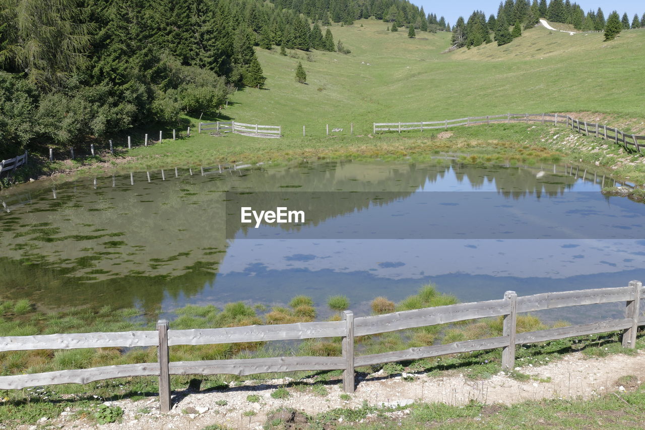 SCENIC VIEW OF LAKE WITH TREES REFLECTION