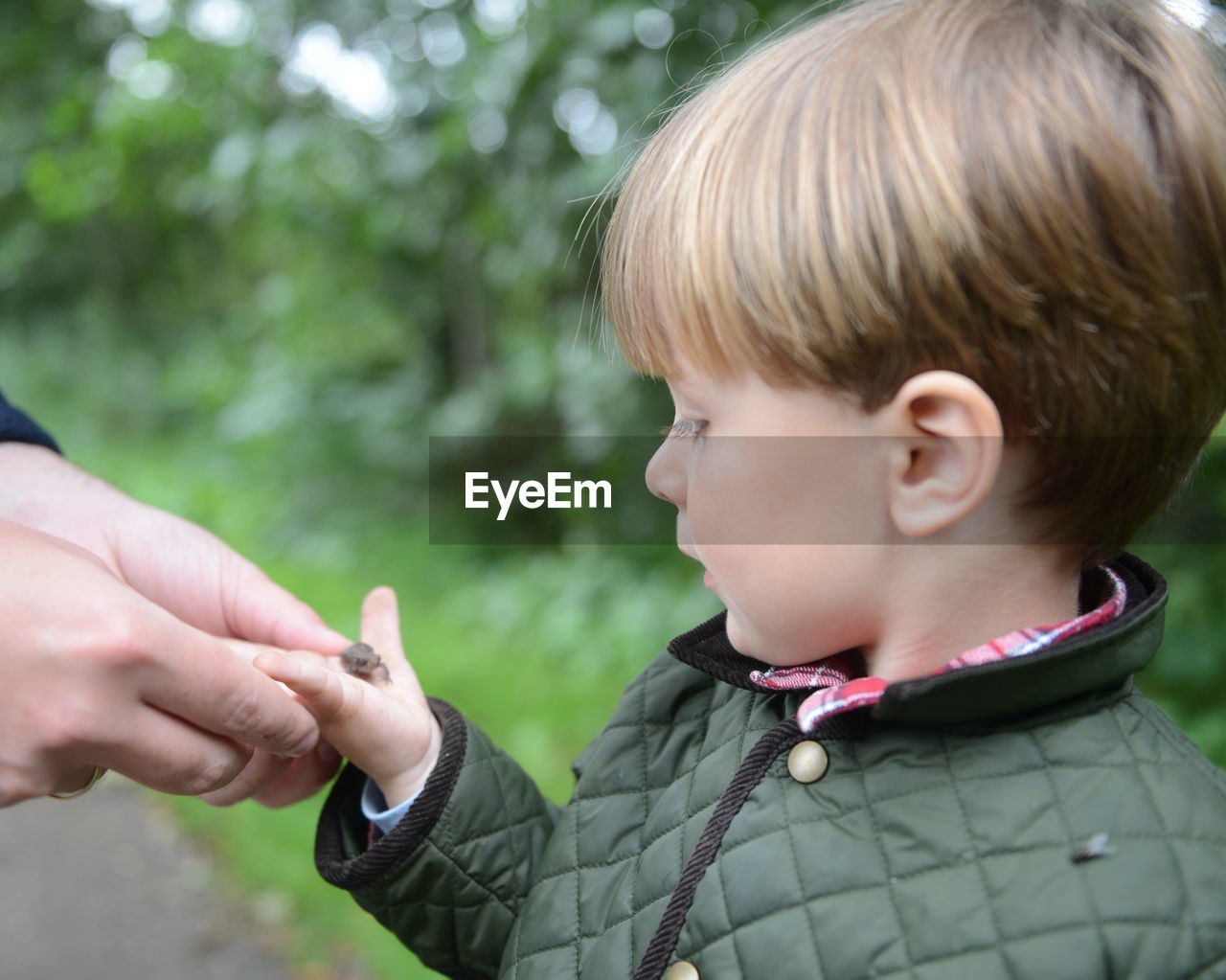 Cropped image of hand person holding hand of boy with frog against plants