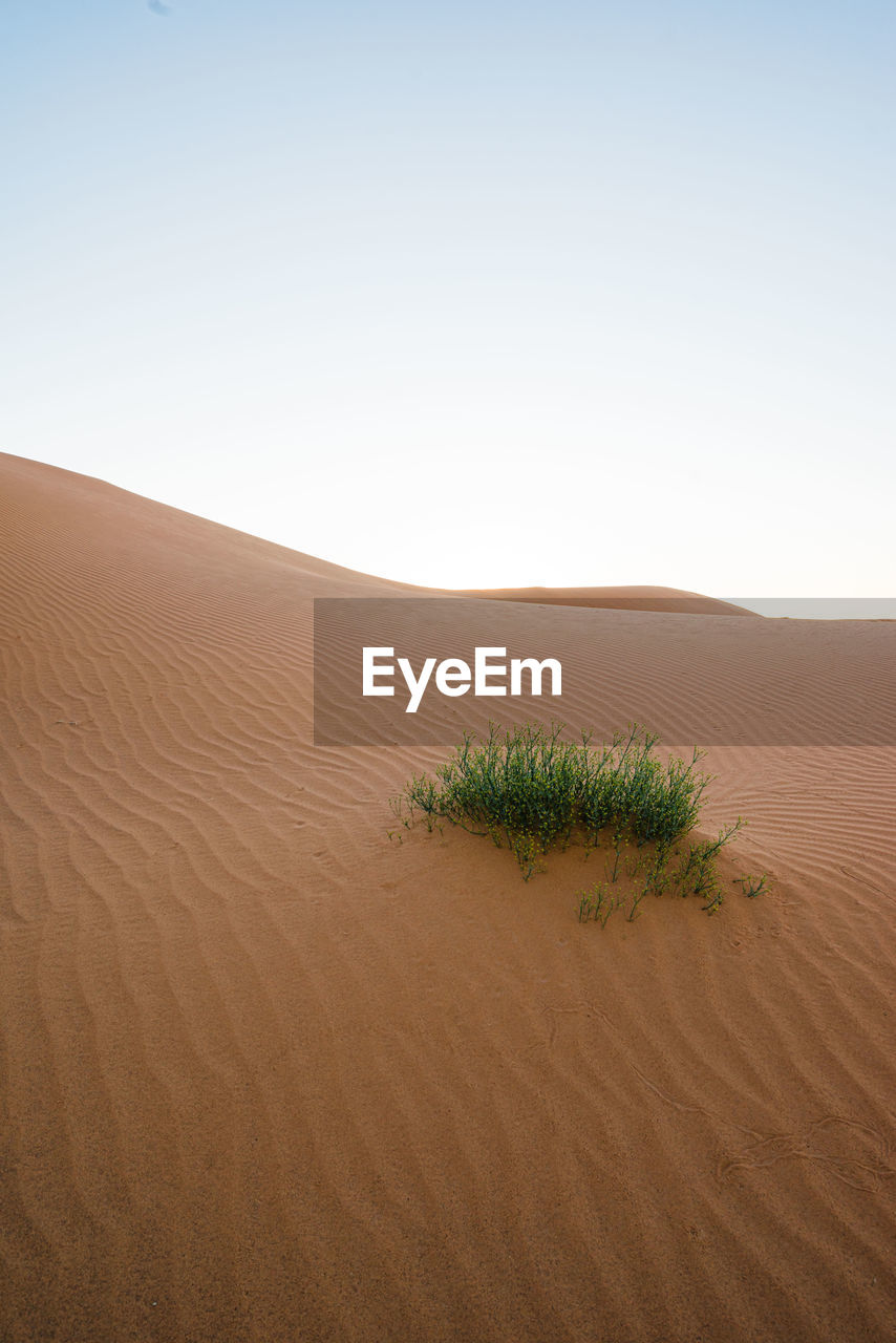 Scenic view of desert against clear sky