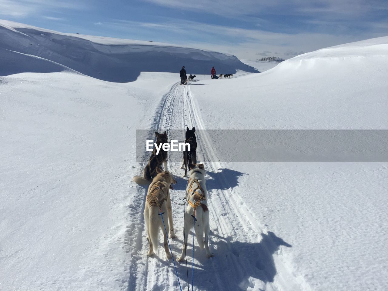 PEOPLE ON SNOW COVERED LANDSCAPE