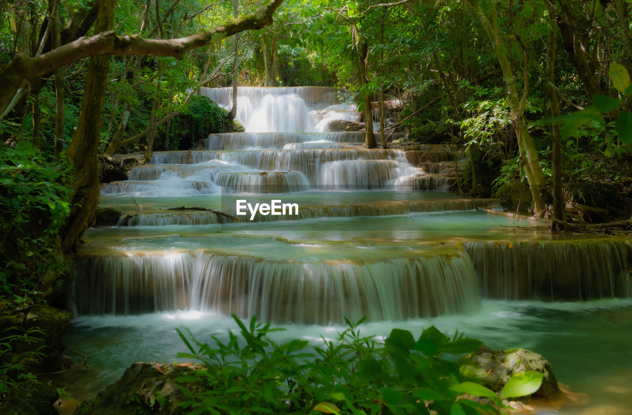 WATERFALL IN A FOREST