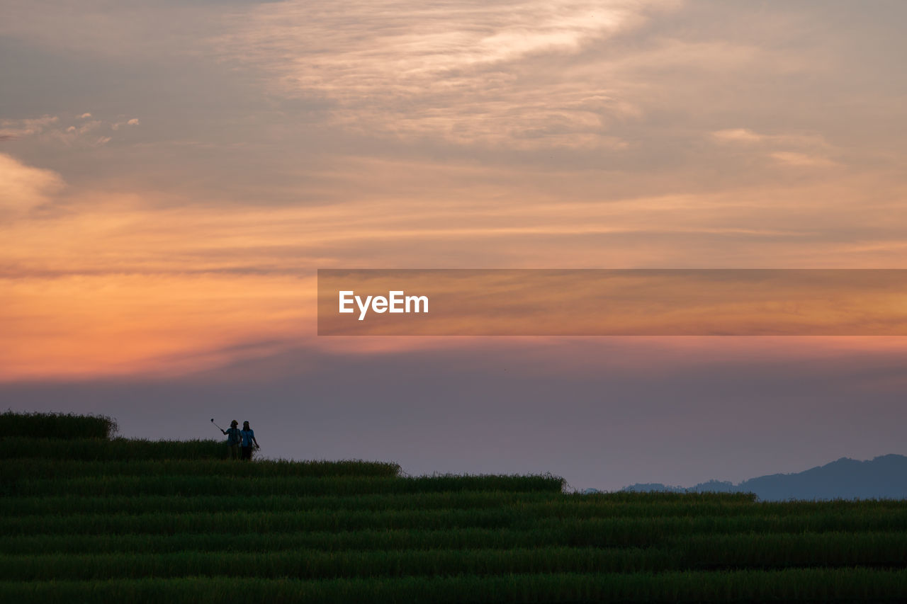 Scenic view of agricultural field against sky during sunset