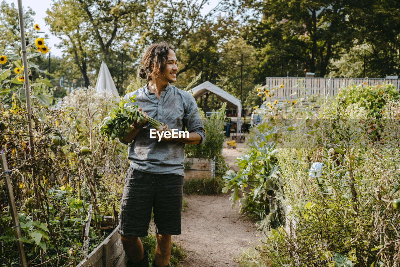 Smiling male farmer with vegetable looking away in community garden