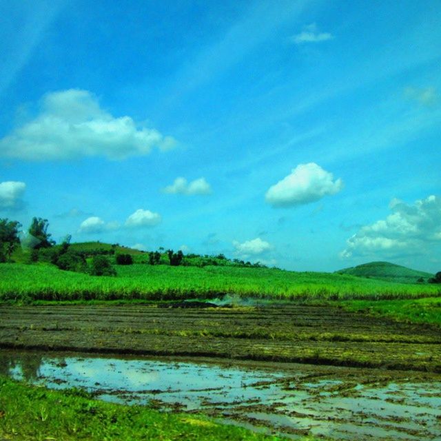 VIEW OF LANDSCAPE AGAINST CLOUDY SKY