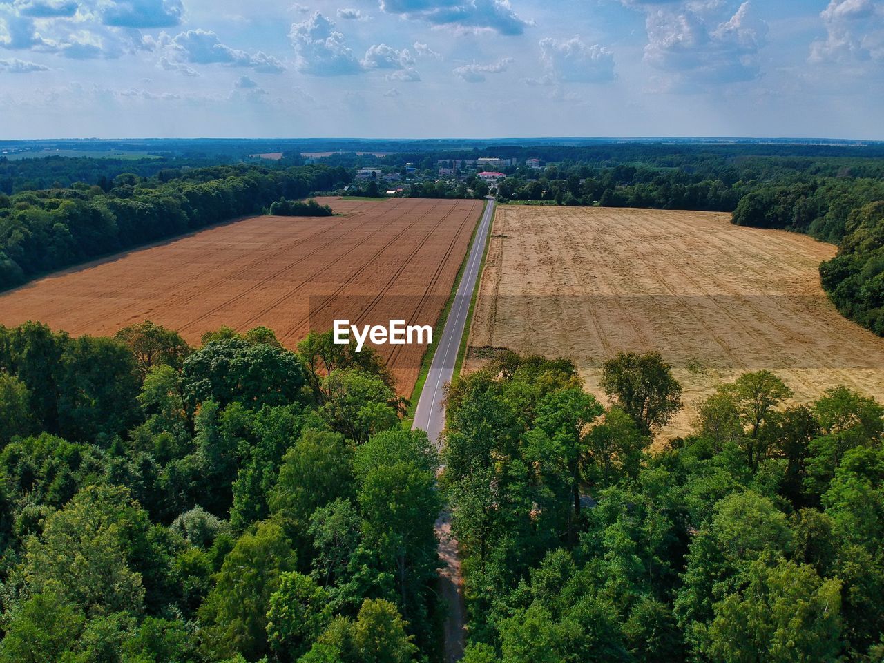 HIGH ANGLE VIEW OF ROAD AMIDST TREES AND PLANTS AGAINST SKY