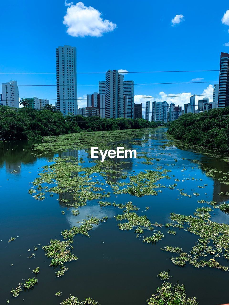 REFLECTION OF BUILDINGS AND TREES IN LAKE