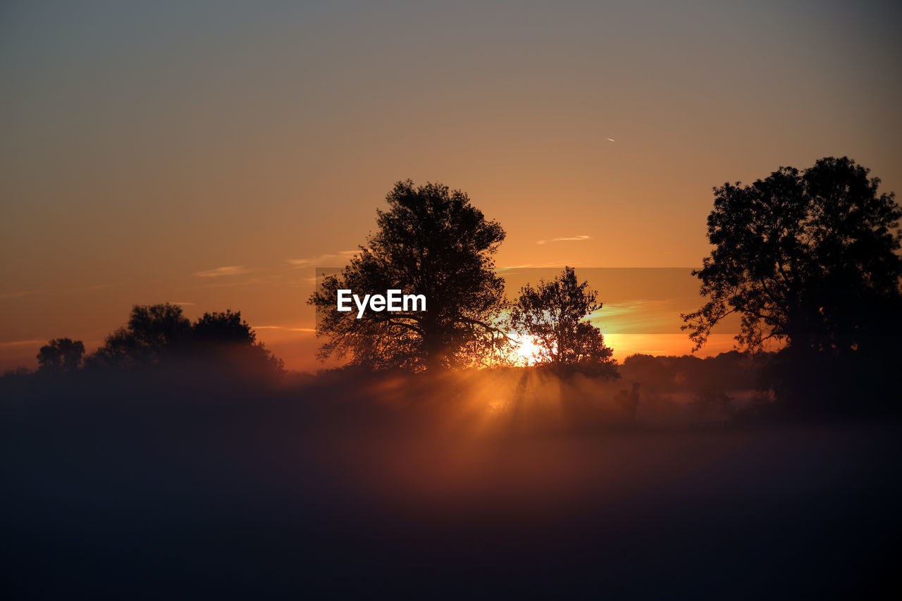 SILHOUETTE TREES ON LANDSCAPE AGAINST ORANGE SKY