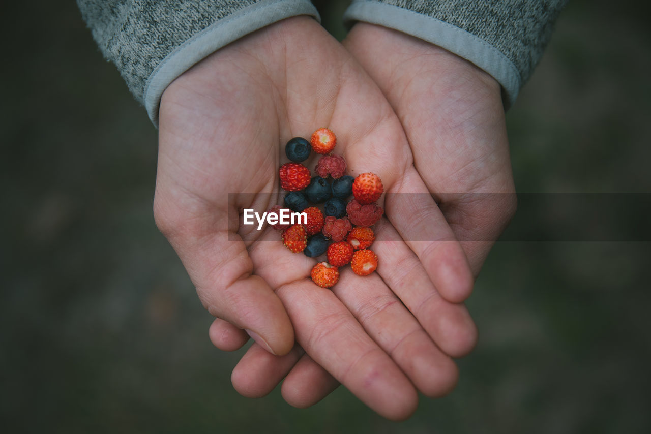 Cropped hands holding berries