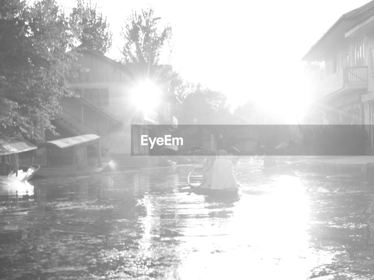 PEOPLE SWIMMING IN POOL BY TREES