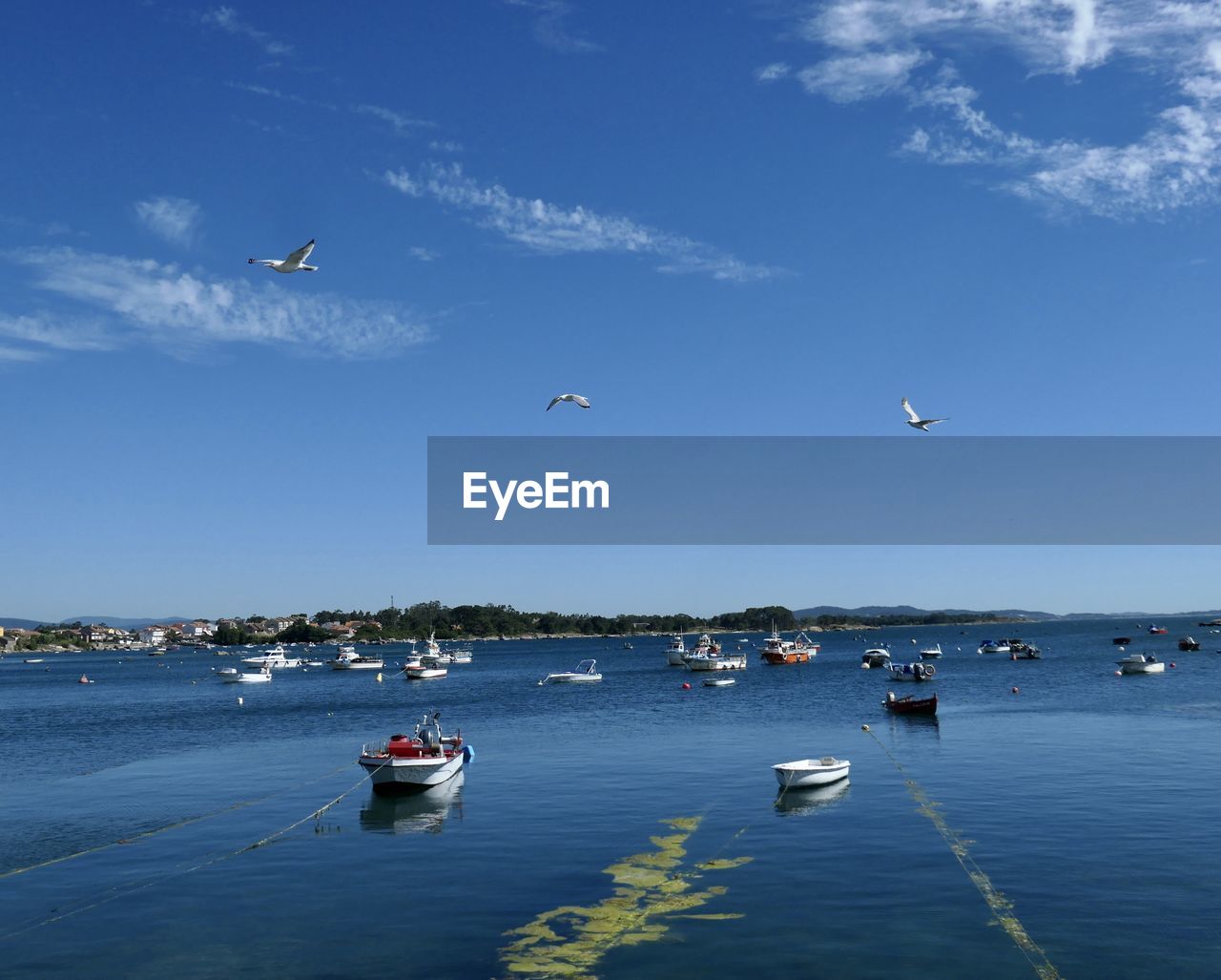 BOATS IN SEA